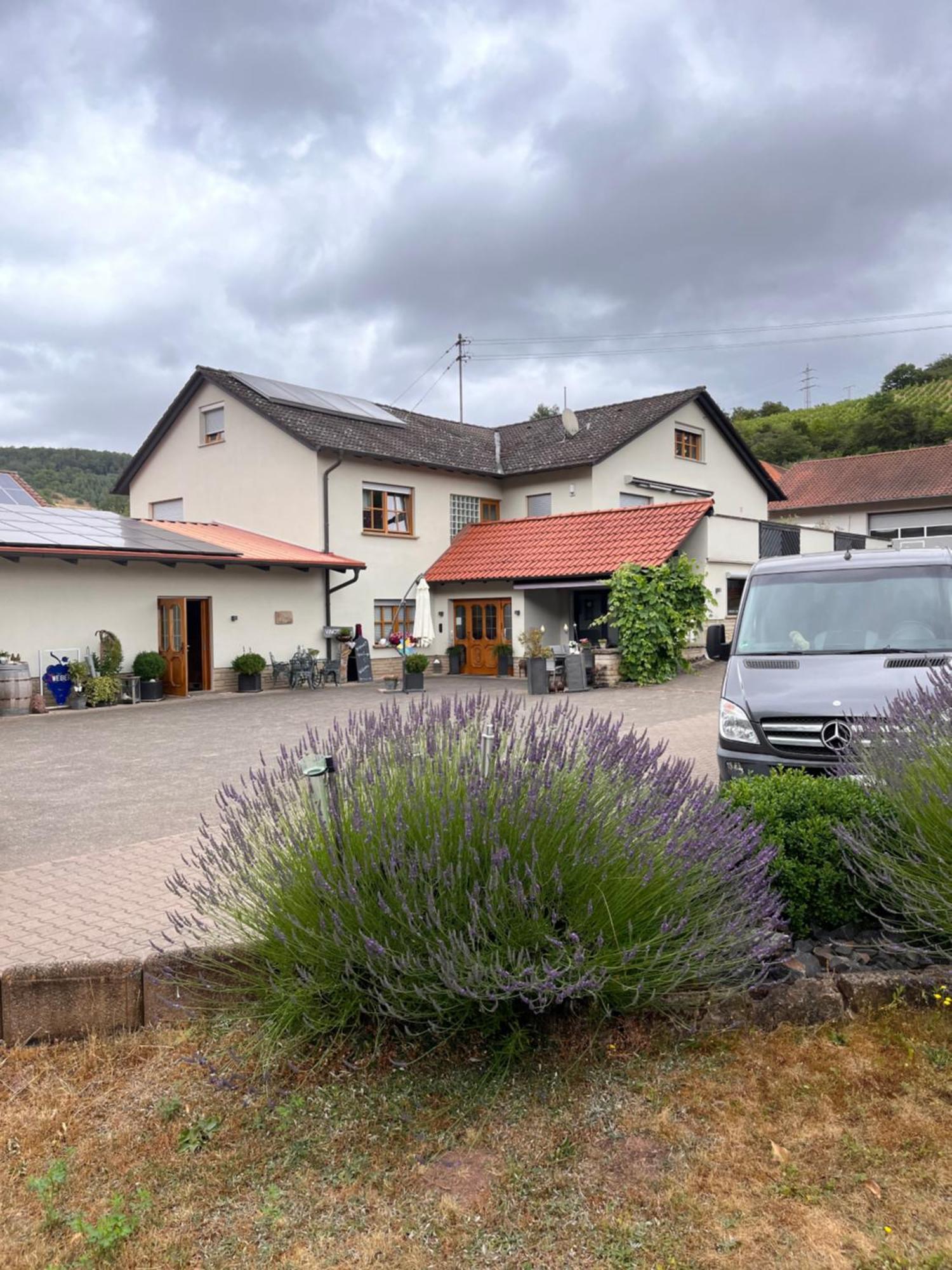 Moderne Ferienwohnung Auf Dem Weingut Monzingen Dış mekan fotoğraf